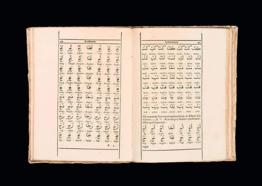 Alphabetum arabicum.
