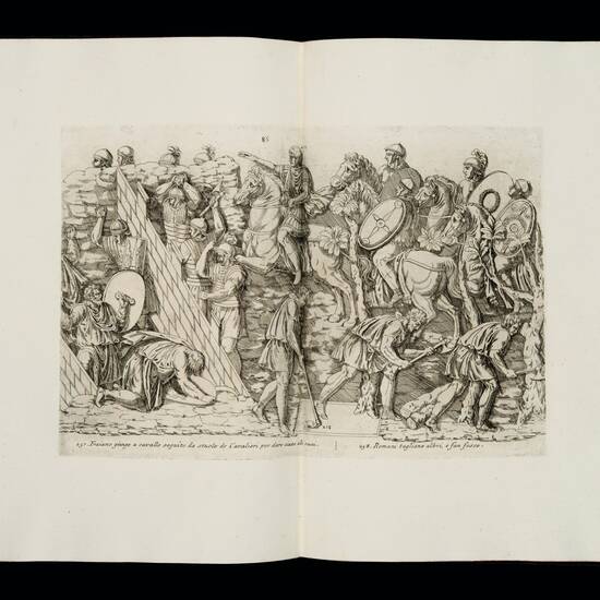Columnae Trajani ortographia centum trigintaquatuor aeneis tabulis insculpta utriusque belli dacici historiam continens.