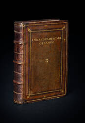 Orlando Innamorato del signor Matteo Maria Boiardo Conte di Scandiano, insieme co i tre libri di Nicolo degli Agostini, nuovamente riformato per m. Lodovico Domenichi, con gli argomenti, le figure accomodate al principio d'ogni canto, & la tavola di cio c Orlando Innamorato del signor Matteo Maria Boiardo Conte di Scandiano, insieme co i tre libri di Nicolo degli Agostini, nuovamente riformato per m. Lodovico Domenichi, con gli argomenti, le figure accomodate al principio d'ogni canto, & la tavola di cio c