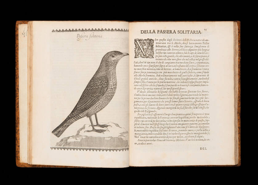 Vccelliera ouero discorso della natura, e proprieta di diuersi vccelli, e in particolare di que' che cantano. Con il modo di prendergli, conoscergli, alleuargli, e mantenergli. E con le figure cauate dal vero, e diligentemente intagliate dal Tempesta, e d Vccelliera ouero discorso della natura, e proprieta di diuersi vccelli, e in particolare di que' che cantano. Con il modo di prendergli, conoscergli, alleuargli, e mantenergli. E con le figure cauate dal vero, e diligentemente intagliate dal Tempesta, e d