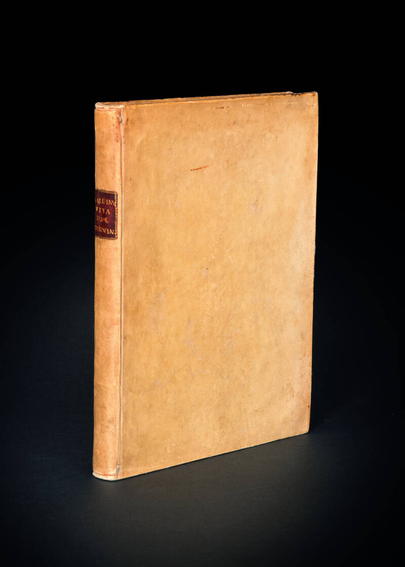 Vita del cav. Gio. Lorenzo Bernino, scultore, architetto, e pittore, scritta da Filippo Baldinucci fiorentino, alla sacra e reale maestà di Cristina regina di Svezia.