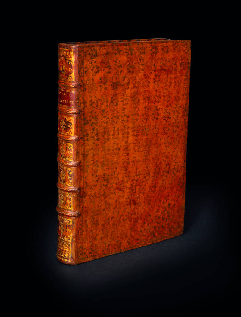 L'Italie illustrée en CXXXV figures en tailles douces in folio. Dessinés et gravés par les plus fameux graveurs des Pays-Bas avec les explications en Francois & en Latin.